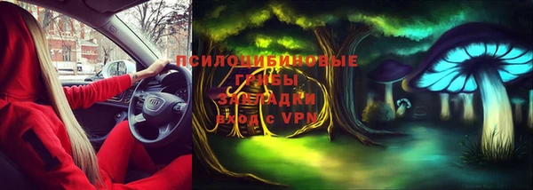 ГАЛЛЮЦИНОГЕННЫЕ ГРИБЫ Богородск