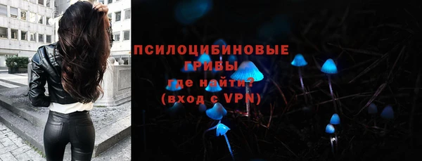 крисы Богданович