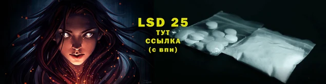 крисы Богданович