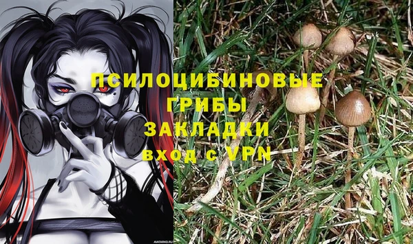 дурь Богородицк